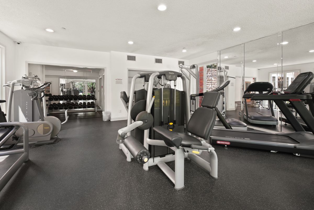 Spacious modern gym floor in Edinburgh with rows of exercise equipment
