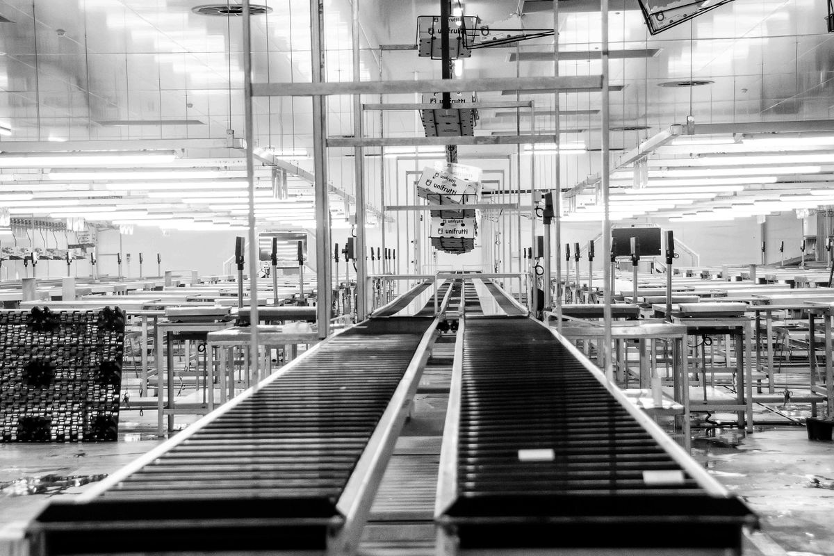 Automated factory production line with machinery in operation