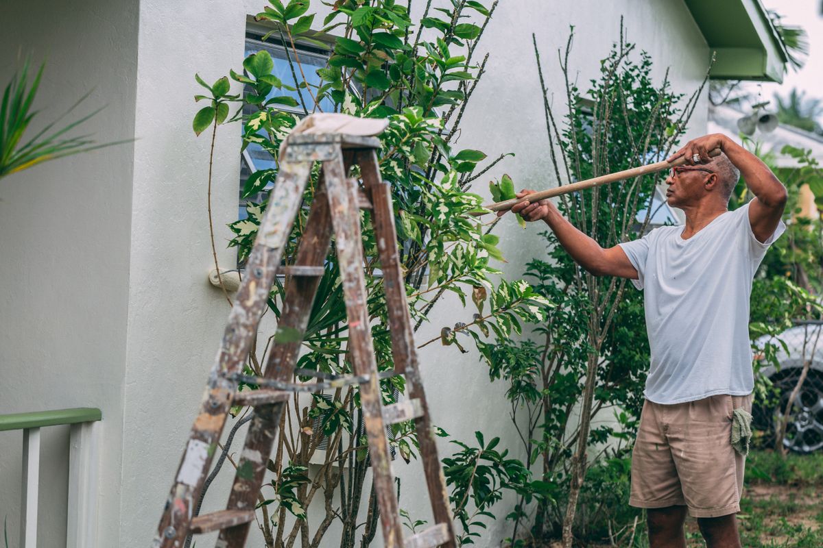 Painter on a ladder painting the exterior wall of a house