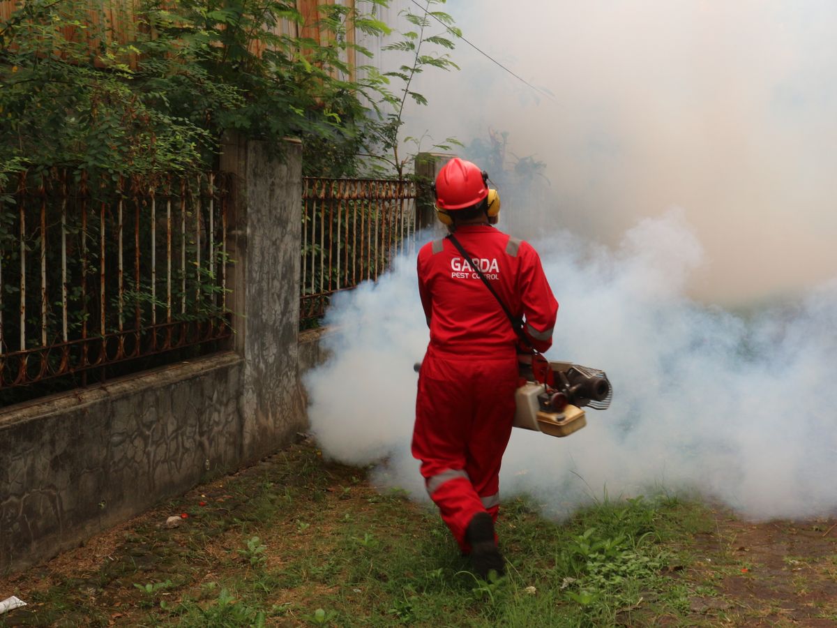 Pest control technician fogging a residential garden in Edinburgh