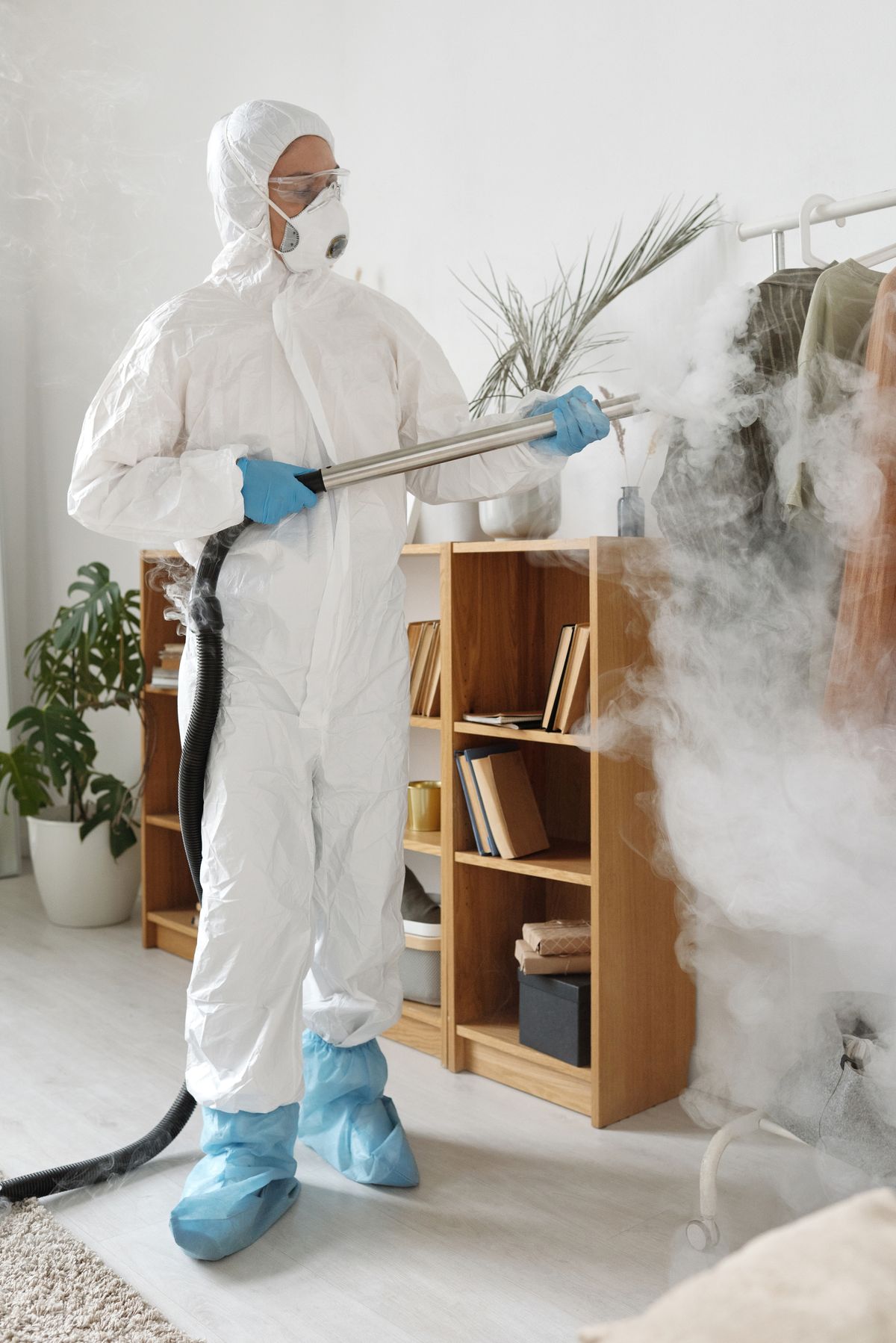 Pest control specialist disinfecting a property as part of a treatment plan